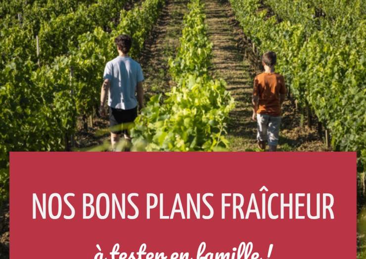 Alerte grosses chaleurs 
Mais pas de panique, nous vous proposons quelques bons …