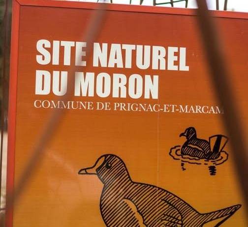 Prêts pour une déconnexion totale en pleine nature ? 

Évadez-vous sur la Boucl…