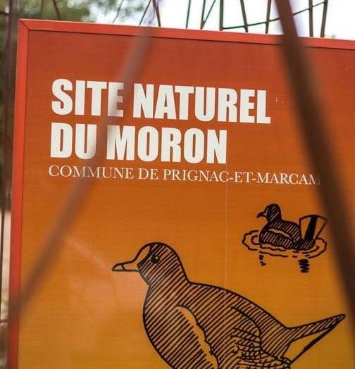 Prêts pour une déconnexion totale en pleine nature ? 

Évadez-vous sur la Boucl…