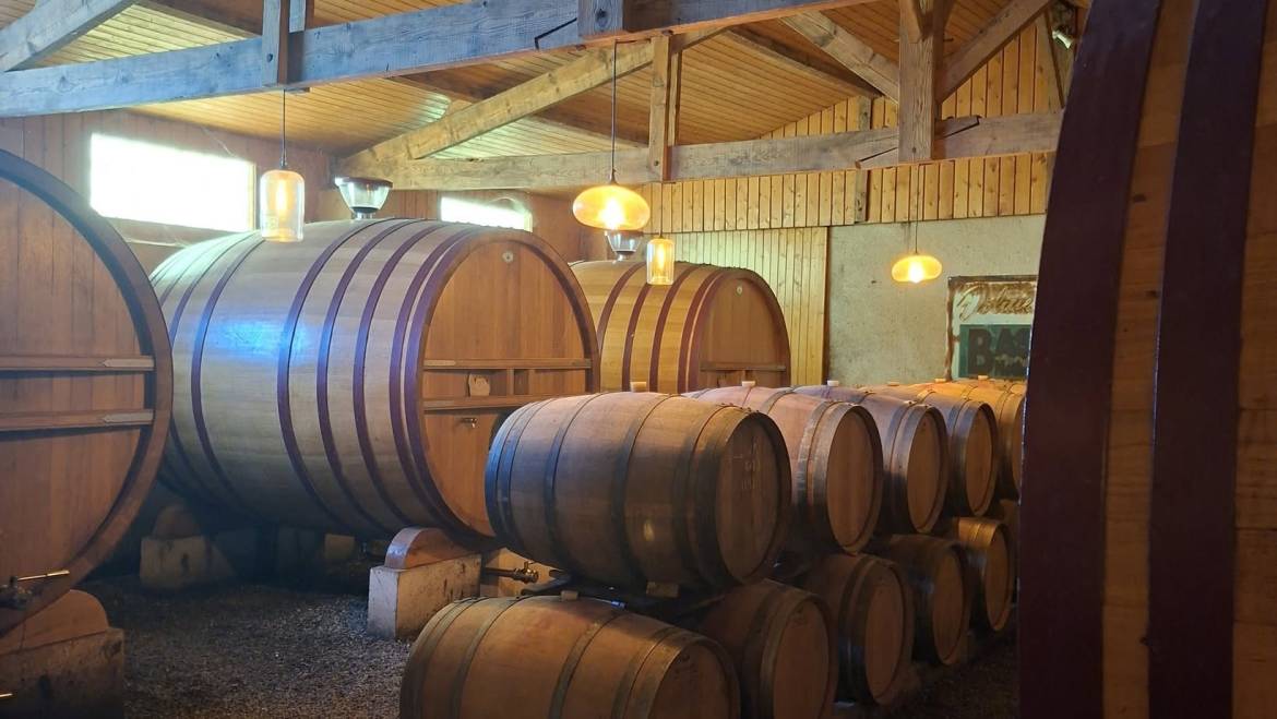 La pépite du jeudi : dans le secret des chais
Chez nous, la vinification est un…