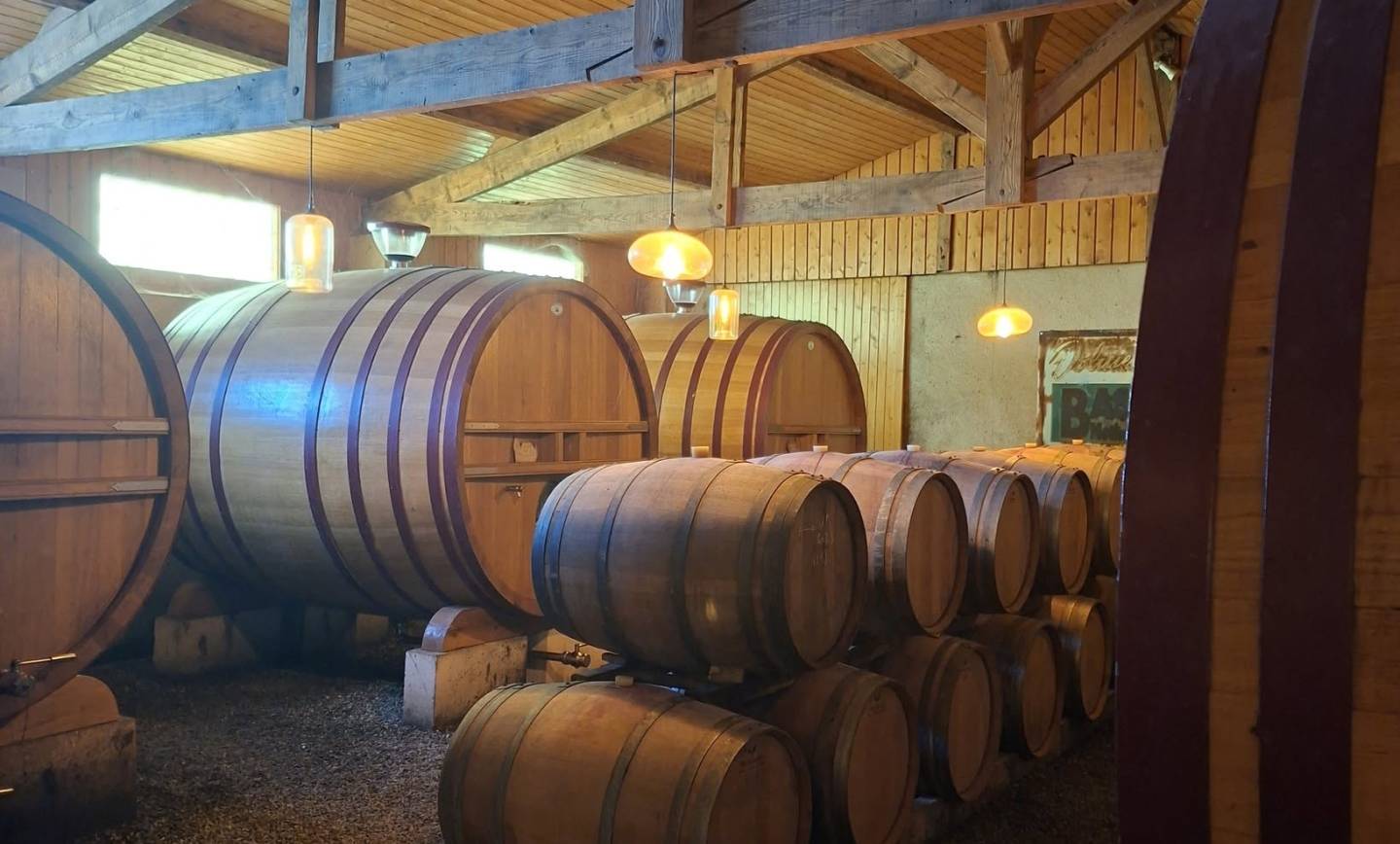 La pépite du jeudi : dans le secret des chais
Chez nous, la vinification est un…