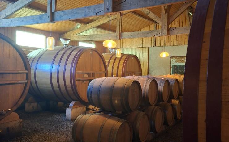 La pépite du jeudi : dans le secret des chais 
Chez nous, la vinification est un…