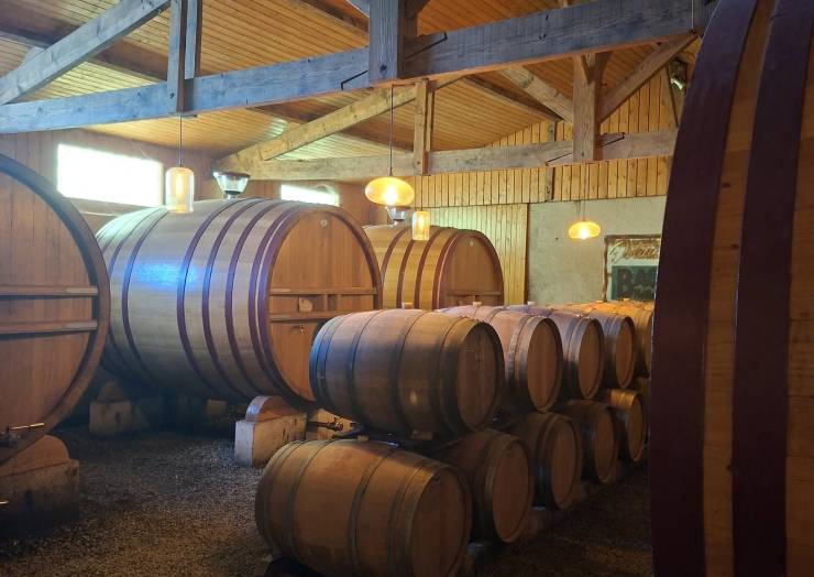 La pépite du jeudi : dans le secret des chais 
Chez nous, la vinification est un…