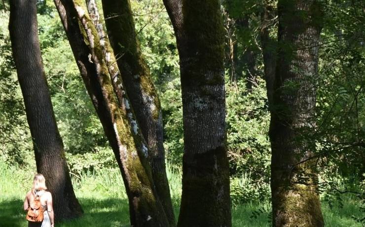 Nous, on aime… 

 Se perdre au cœur du Site du Moron à Prignac-et-Marcamps. C&rsquo;…