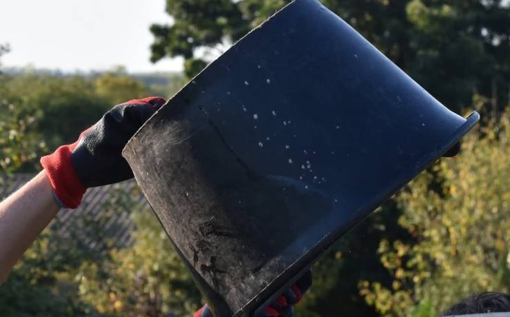 Les sécateurs sont de sortie et le vignoble s’anime : la période fascinante des …