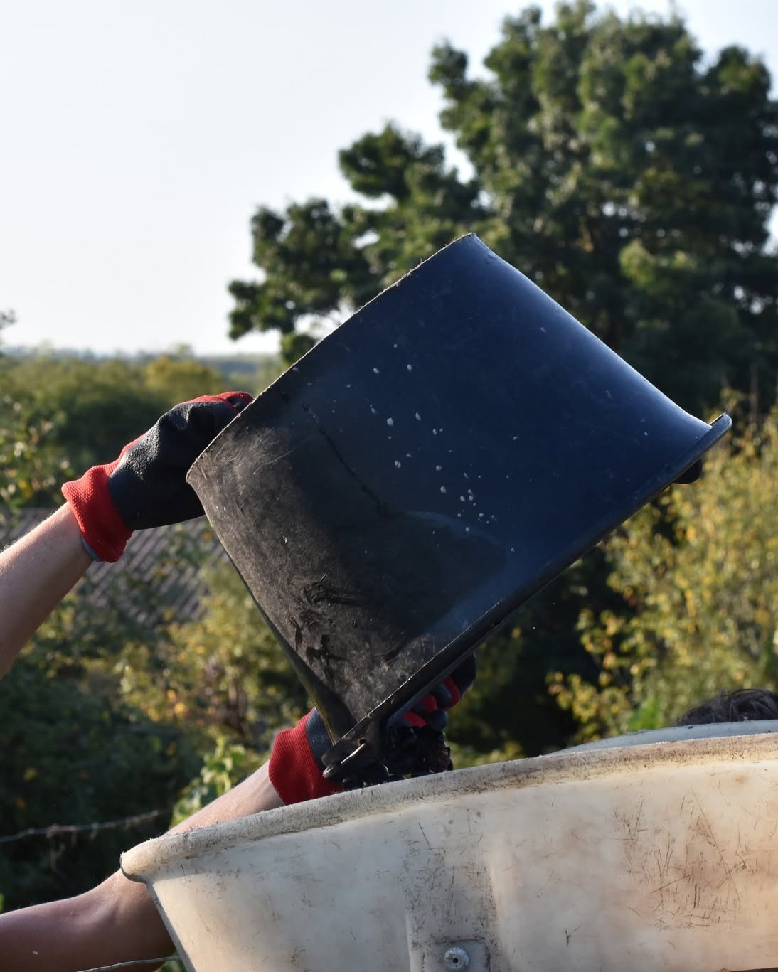 Les sécateurs sont de sortie et le vignoble s’anime : la période fascinante des …