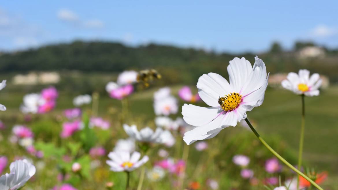 Mettre sur pause et prendre le temps d&rsquo;admirer nos paysages…