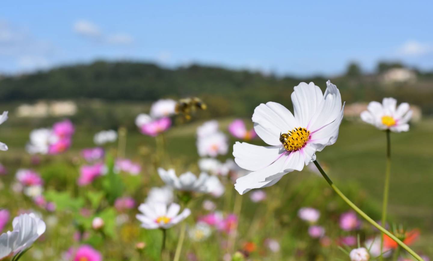 Mettre sur pause et prendre le temps d’admirer nos paysages…