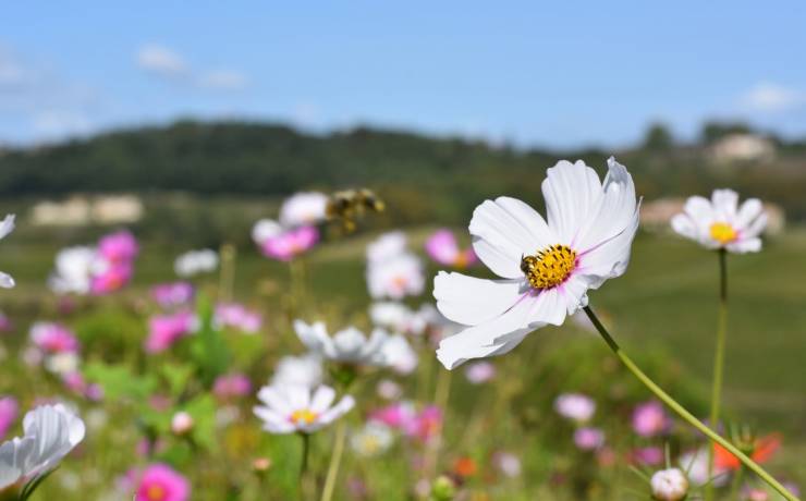 Mettre sur pause et prendre le temps d&rsquo;admirer nos paysages…