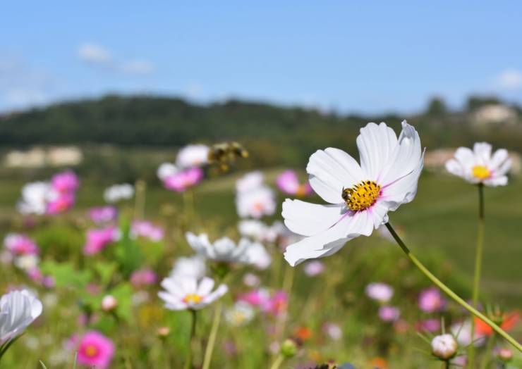 Mettre sur pause et prendre le temps d&rsquo;admirer nos paysages…