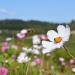 Mettre sur pause et prendre le temps d&rsquo;admirer nos paysages…