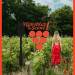 Vignobles en scène
On le savait déjà, les vignerons sont des artistes. Mais alor…